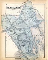 Flatlands, Long Island 1873